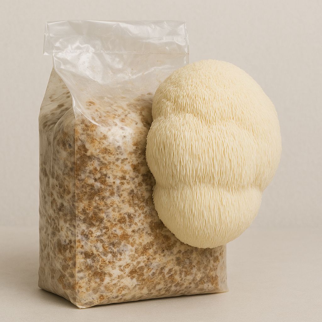 Lion's Mane Mushroom Kit showing white fluffy clusters